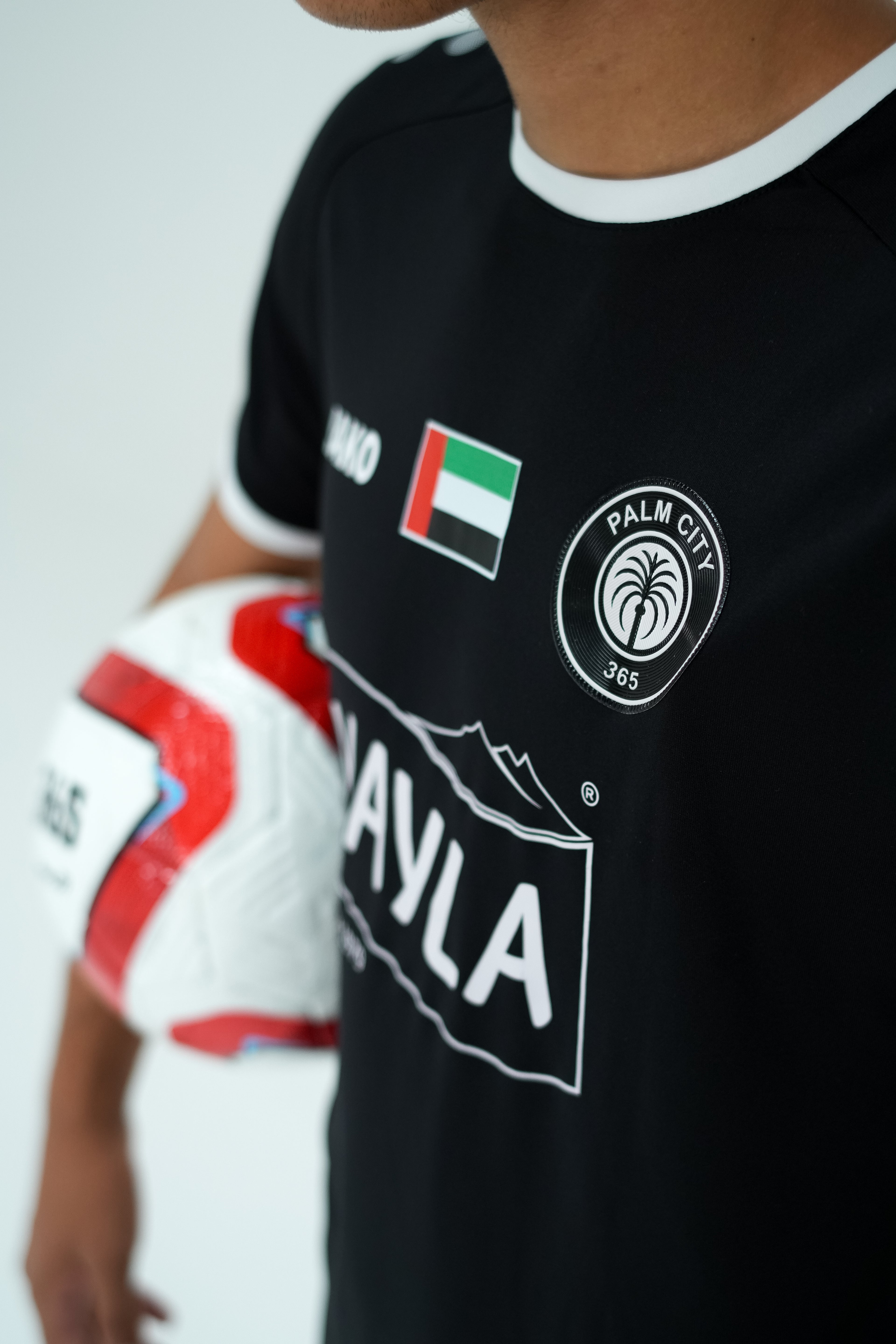 25/26 Palm city home kit